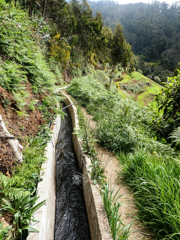 9 May 2019 Walk along the varied Levada Velha das Canhas — Across the farm to the second stream crossing — photo 8