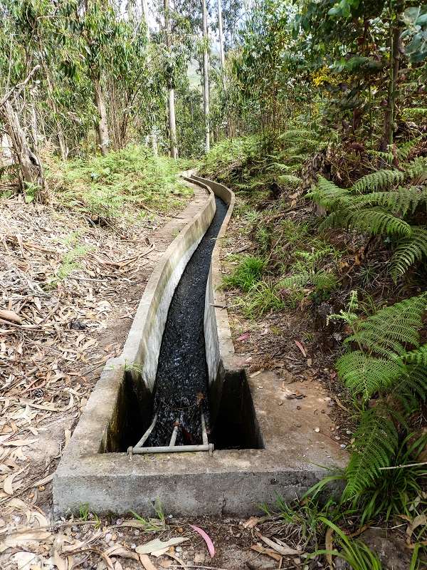 9 May 2019 Walk along the varied Levada Velha das Canhas — Across the farm to the second stream crossing — photo 9
