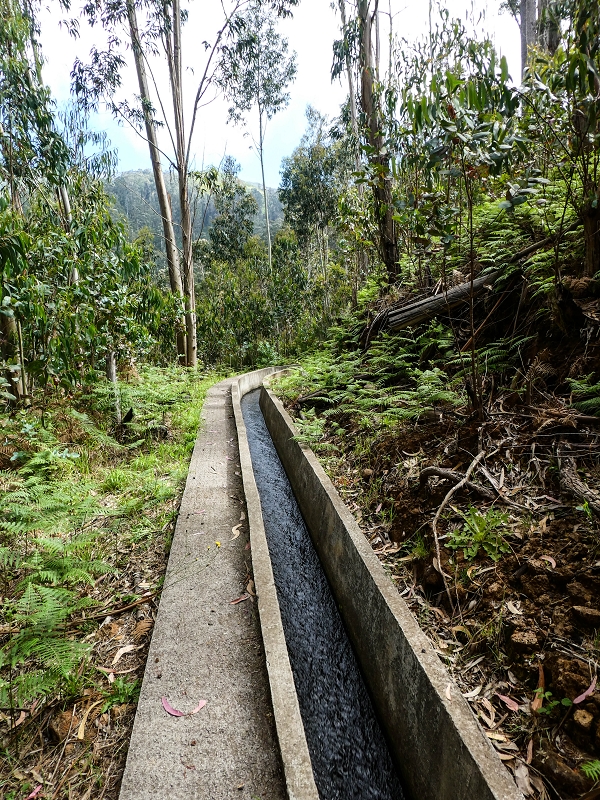 9 May 2019 Walk along the varied Levada Velha das Canhas — Across the farm to the second stream crossing — photo 10