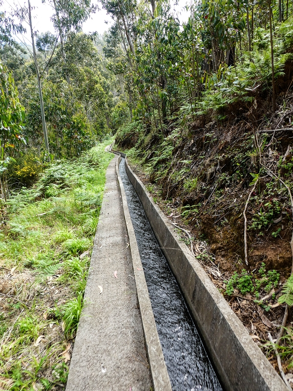9 May 2019 Walk along the varied Levada Velha das Canhas — Across the farm to the second stream crossing — photo 11