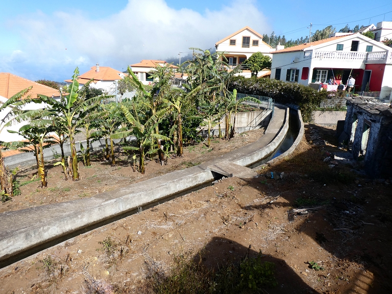 9 May 2019 Walk along the varied Levada Velha das Canhas — On the final stretch of the Levada Velha das Canhas and on the Nova to the road junction — photo 5