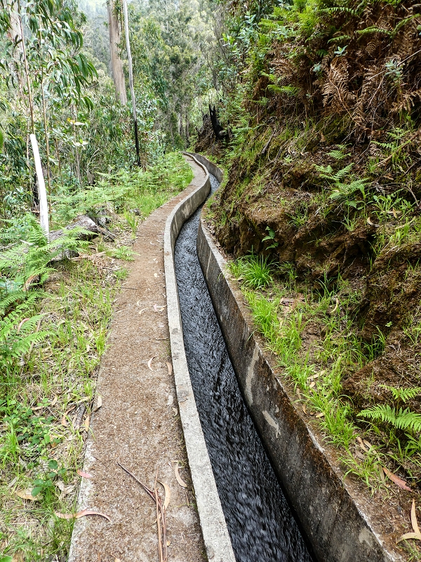 9 May 2019 Walk along the varied Levada Velha das Canhas — Across the farm to the second stream crossing — photo 13
