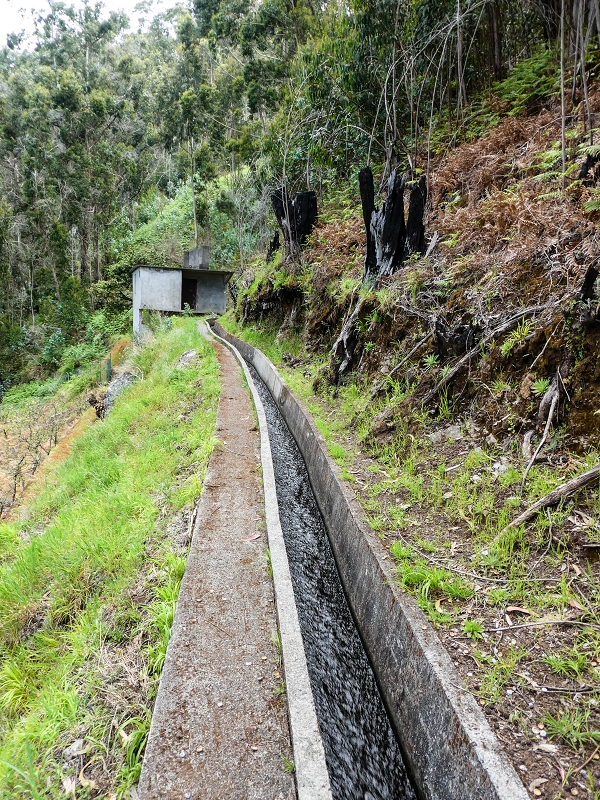 9 May 2019 Walk along the varied Levada Velha das Canhas — Across the farm to the second stream crossing — photo 14