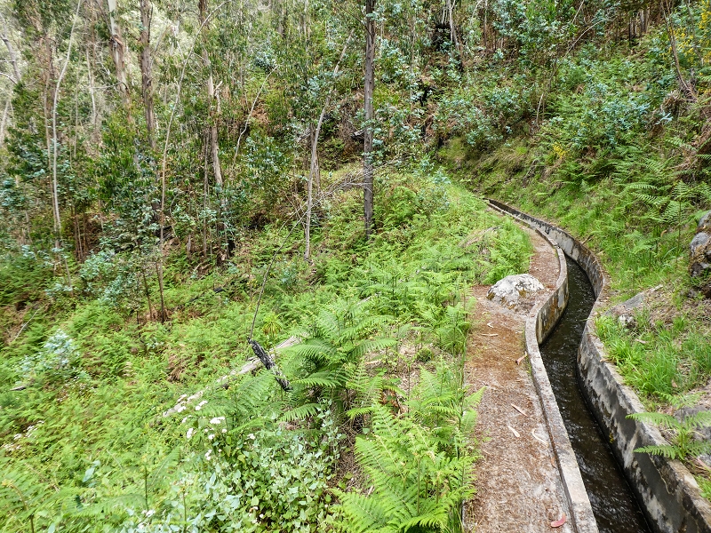 9 May 2019 Walk along the varied Levada Velha das Canhas — Across the farm to the second stream crossing — photo 15