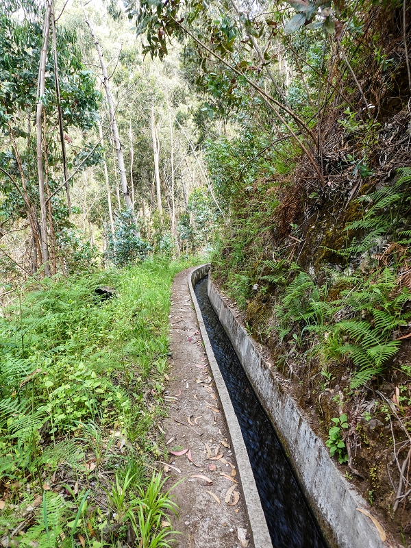 9 May 2019 Walk along the varied Levada Velha das Canhas — Across the farm to the second stream crossing — photo 17