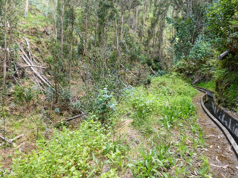 9 May 2019 Walk along the varied Levada Velha das Canhas — Crossing of the Ribeira do Curral Velho — photo 1
