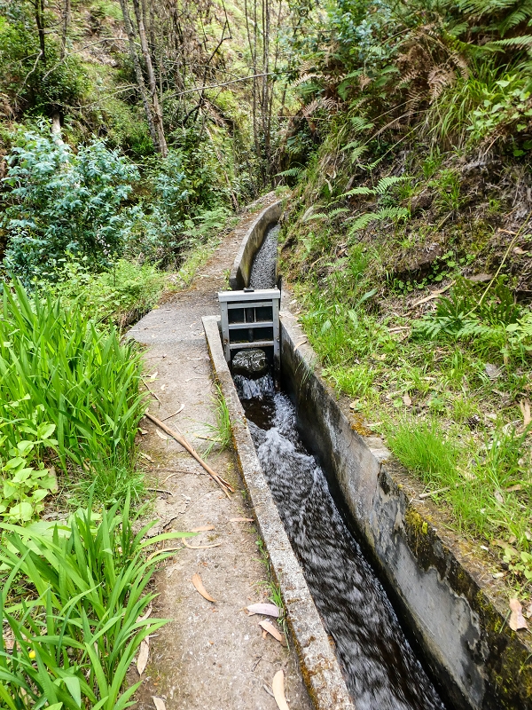 9 May 2019 Walk along the varied Levada Velha das Canhas — Crossing of the Ribeira do Curral Velho — photo 2