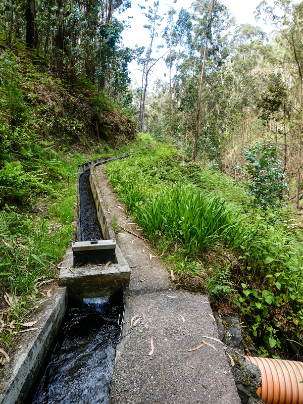 9 May 2019 Walk along the varied Levada Velha das Canhas — Crossing of the Ribeira do Curral Velho — photo 3