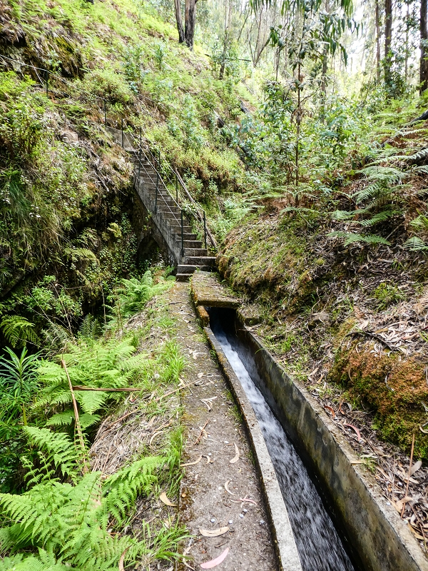 9 May 2019 Walk along the varied Levada Velha das Canhas — Crossing of the Ribeira do Curral Velho — photo 4