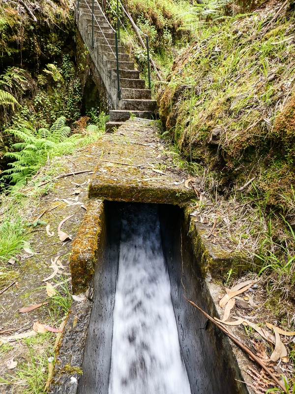 9 May 2019 Walk along the varied Levada Velha das Canhas — Crossing of the Ribeira do Curral Velho — photo 5