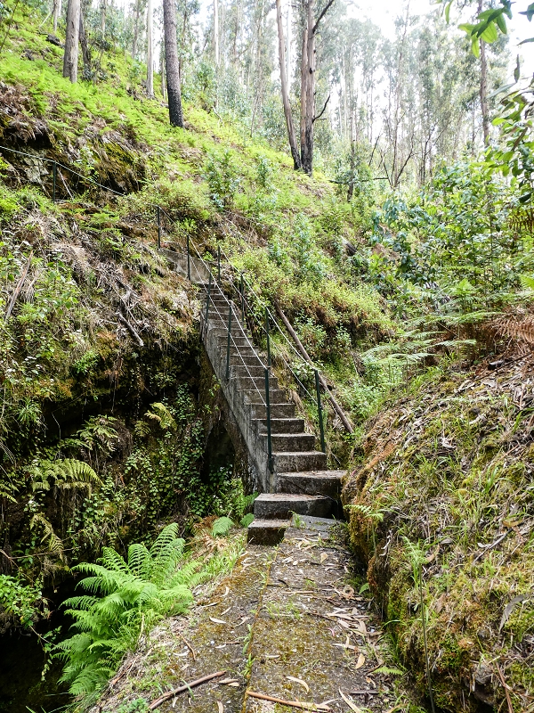 9 May 2019 Walk along the varied Levada Velha das Canhas — Crossing of the Ribeira do Curral Velho — photo 6