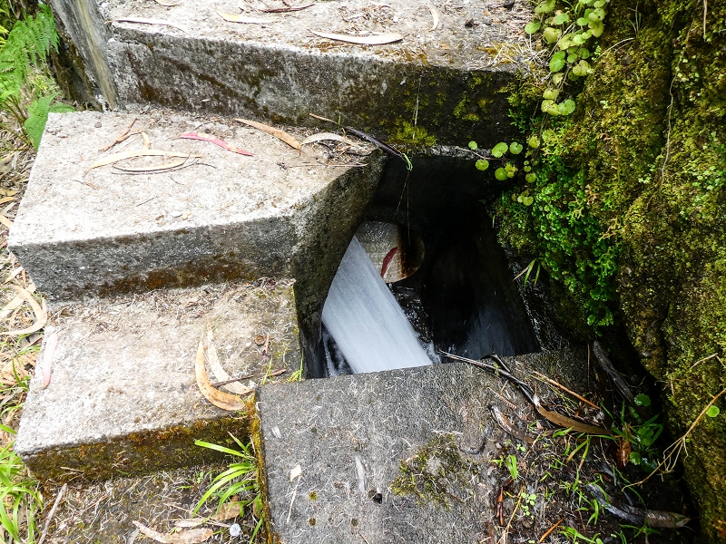 9 May 2019 Walk along the varied Levada Velha das Canhas — Crossing of the Ribeira do Curral Velho — photo 7