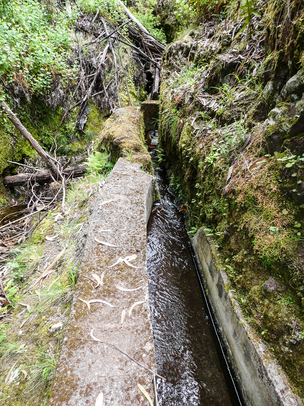 9 May 2019 Walk along the varied Levada Velha das Canhas — Crossing of the Ribeira do Curral Velho — photo 8