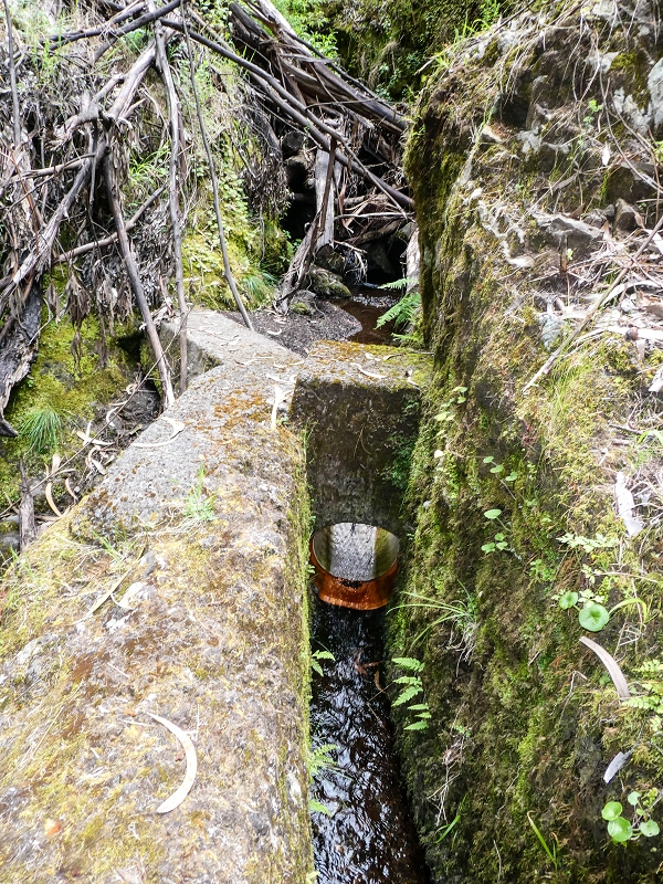 9 May 2019 Walk along the varied Levada Velha das Canhas — Crossing of the Ribeira do Curral Velho — photo 9