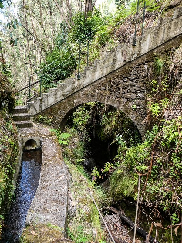 9 May 2019 Walk along the varied Levada Velha das Canhas — Crossing of the Ribeira do Curral Velho — photo 10