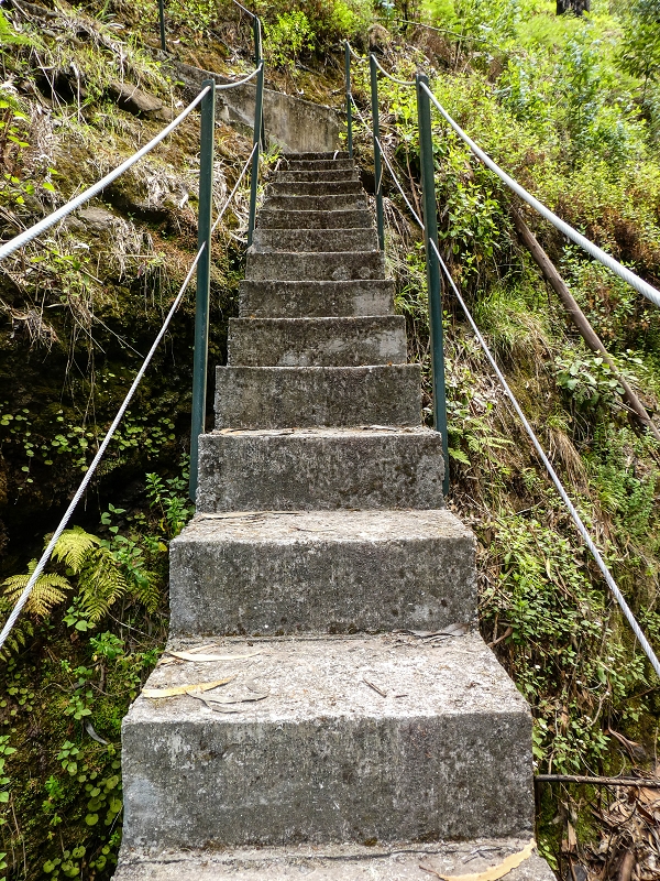 9 May 2019 Walk along the varied Levada Velha das Canhas — Crossing of the Ribeira do Curral Velho — photo 11