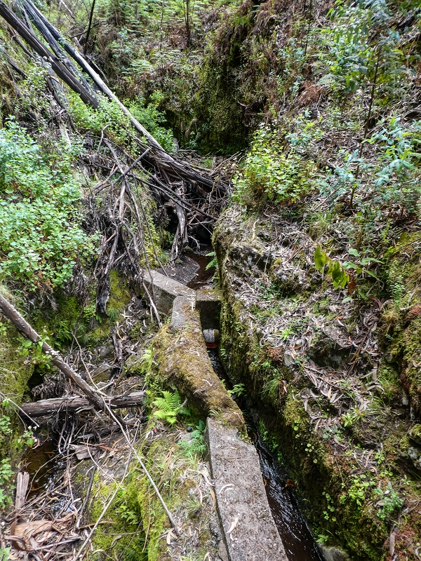 9 May 2019 Walk along the varied Levada Velha das Canhas — Crossing of the Ribeira do Curral Velho — photo 12