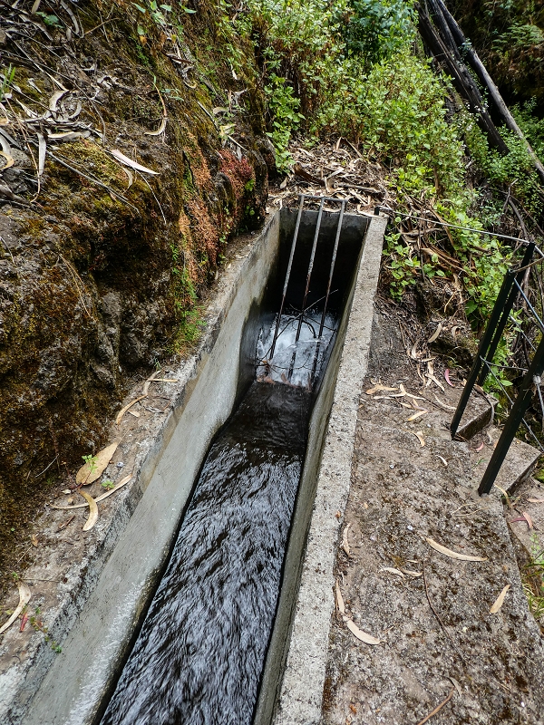 9 May 2019 Walk along the varied Levada Velha das Canhas — Crossing of the Ribeira do Curral Velho — photo 13