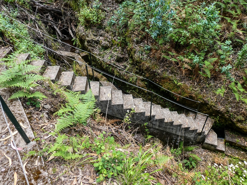 9 May 2019 Walk along the varied Levada Velha das Canhas — Crossing of the Ribeira do Curral Velho — photo 14