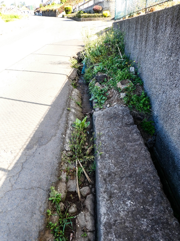 9 May 2019 Walk along the varied Levada Velha das Canhas — On the final stretch of the Levada Velha das Canhas and on the Nova to the road junction — photo 7