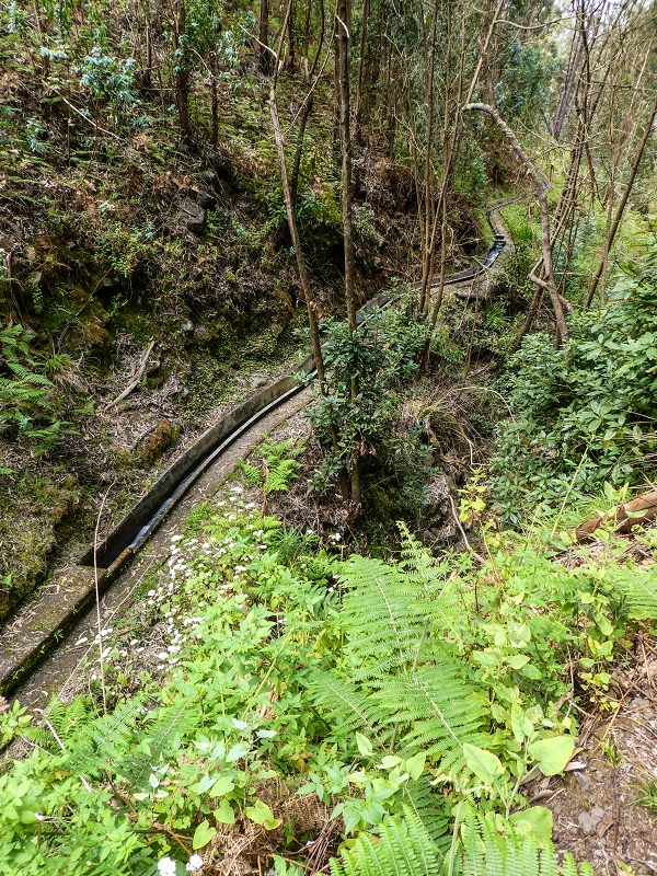 9 May 2019 Walk along the varied Levada Velha das Canhas — Crossing of the Ribeira do Curral Velho — photo 15