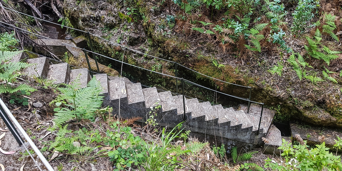 9 May 2019 Walk along the varied Levada Velha das Canhas — Crossing of the Ribeira do Curral Velho — photo 16