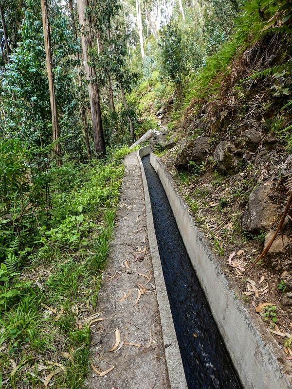 9 May 2019 Walk along the varied Levada Velha das Canhas — To the Madre in the Ribeira do Caldeirao — photo 1