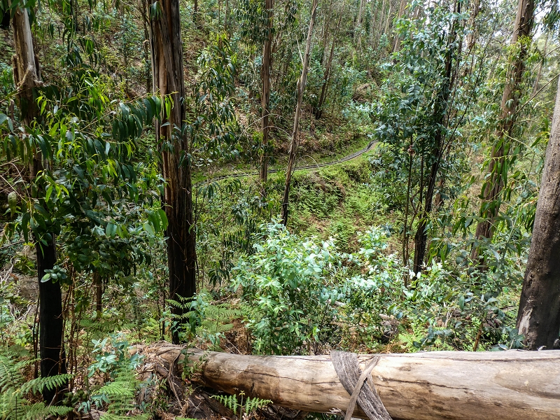 9 May 2019 Walk along the varied Levada Velha das Canhas — To the Madre in the Ribeira do Caldeirao — photo 2