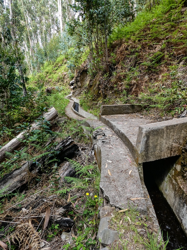 9 May 2019 Walk along the varied Levada Velha das Canhas — To the Madre in the Ribeira do Caldeirao — photo 3