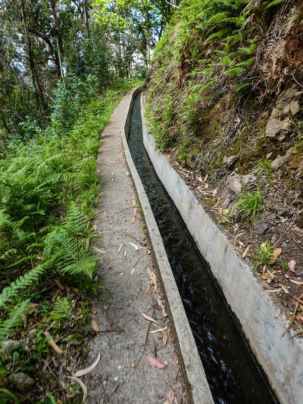 9 May 2019 Walk along the varied Levada Velha das Canhas — To the Madre in the Ribeira do Caldeirao — photo 4