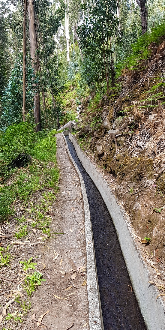 9 May 2019 Walk along the varied Levada Velha das Canhas — To the Madre in the Ribeira do Caldeirao — photo 5