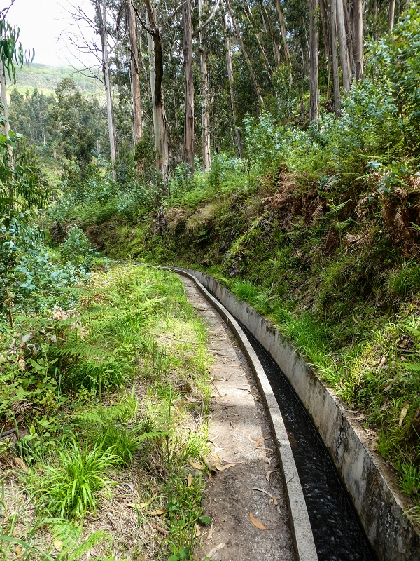 9 May 2019 Walk along the varied Levada Velha das Canhas — To the Madre in the Ribeira do Caldeirao — photo 7