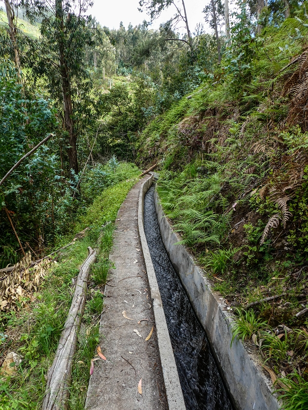 9 May 2019 Walk along the varied Levada Velha das Canhas — To the Madre in the Ribeira do Caldeirao — photo 8