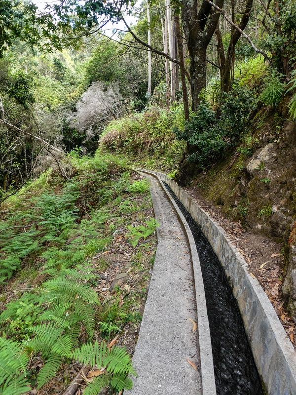 9 May 2019 Walk along the varied Levada Velha das Canhas — To the Madre in the Ribeira do Caldeirao — photo 9