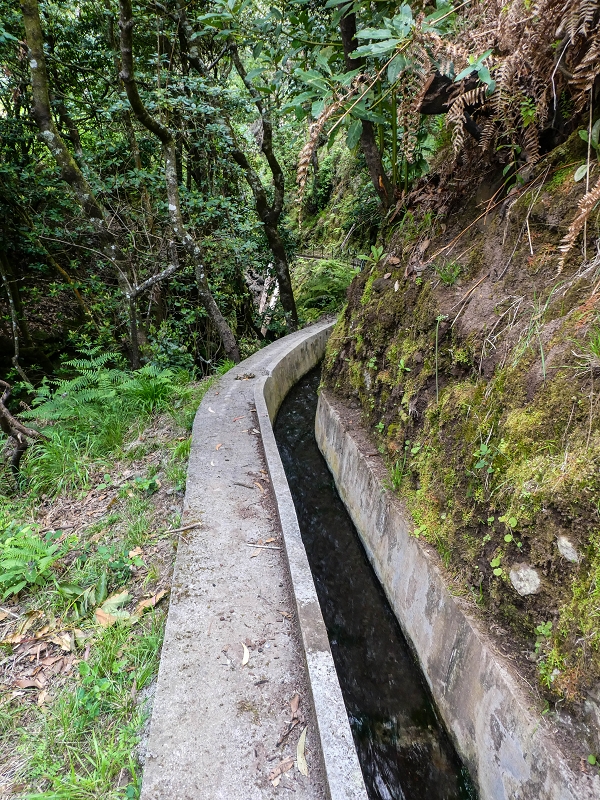 9 May 2019 Walk along the varied Levada Velha das Canhas — To the Madre in the Ribeira do Caldeirao — photo 10