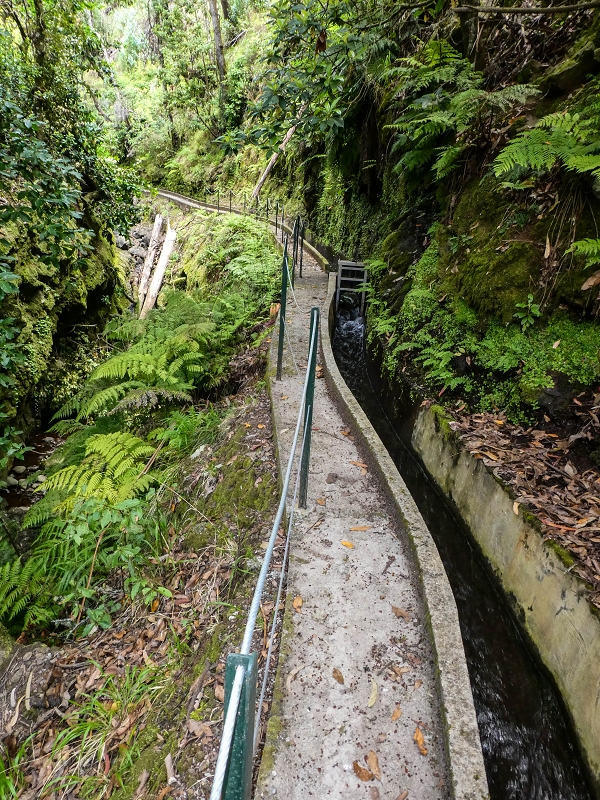 9 May 2019 Walk along the varied Levada Velha das Canhas — To the Madre in the Ribeira do Caldeirao — photo 11