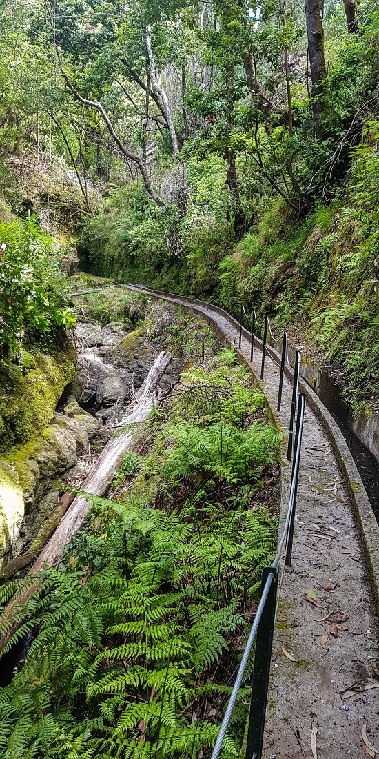 9 May 2019 Walk along the varied Levada Velha das Canhas — To the Madre in the Ribeira do Caldeirao — photo 12