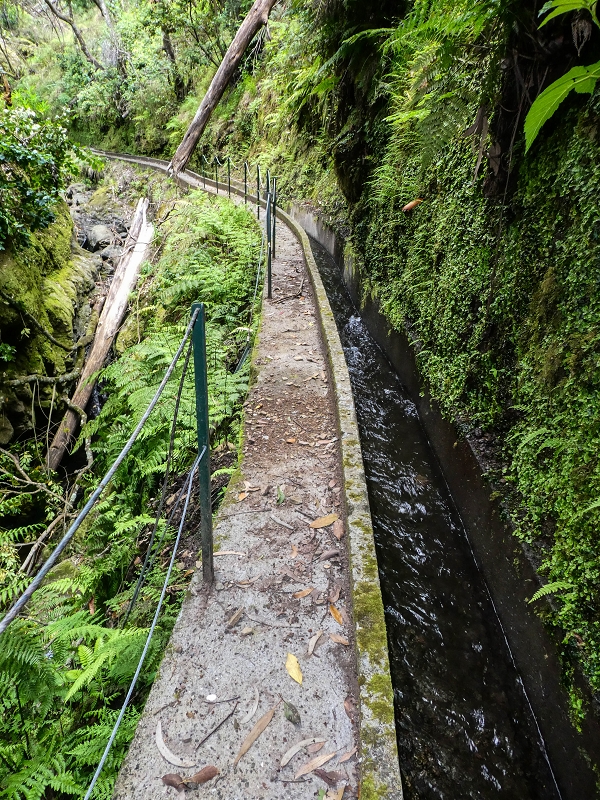 9 May 2019 Walk along the varied Levada Velha das Canhas — To the Madre in the Ribeira do Caldeirao — photo 13