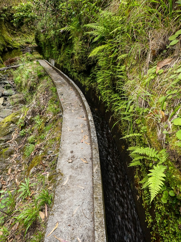 9 May 2019 Walk along the varied Levada Velha das Canhas — Madre in the Ribeira do Caldeirao — photo 1