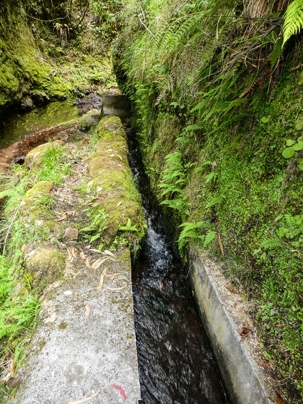 9 May 2019 Walk along the varied Levada Velha das Canhas — Madre in the Ribeira do Caldeirao — photo 2