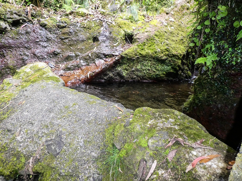 9 May 2019 Walk along the varied Levada Velha das Canhas — Madre in the Ribeira do Caldeirao — photo 3