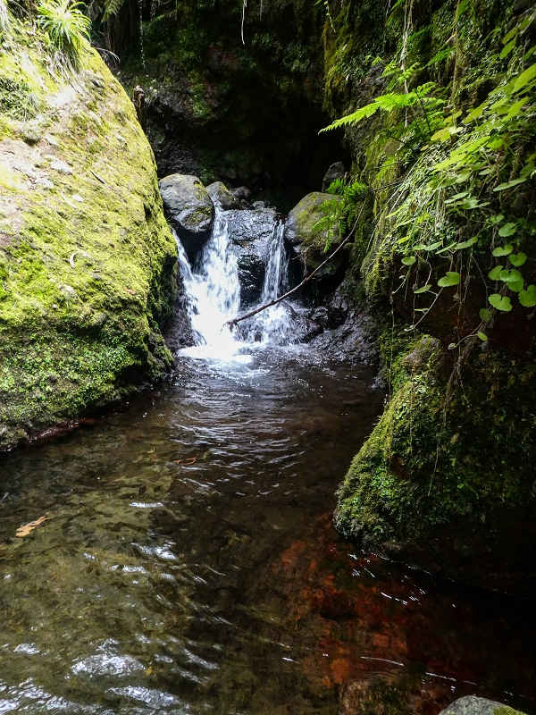 9 May 2019 Walk along the varied Levada Velha das Canhas — Madre in the Ribeira do Caldeirao — photo 4