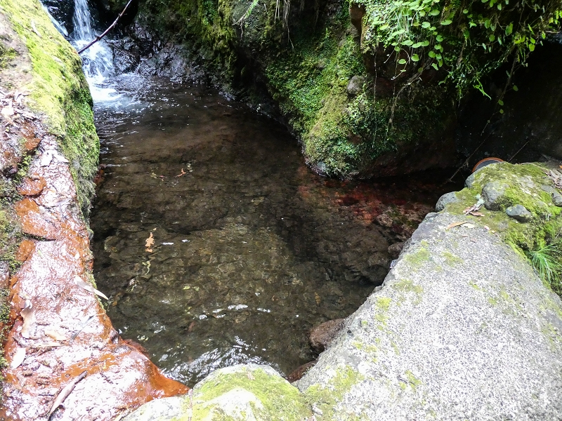 9 May 2019 Walk along the varied Levada Velha das Canhas — Madre in the Ribeira do Caldeirao — photo 5