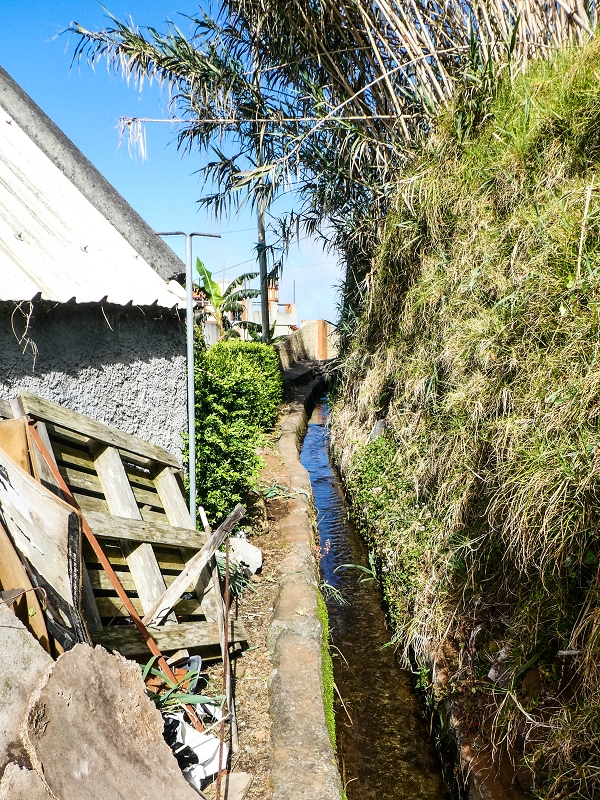 9 May 2019 Walk along the varied Levada Velha das Canhas — Start of the obstacle course between the houses — photo 2
