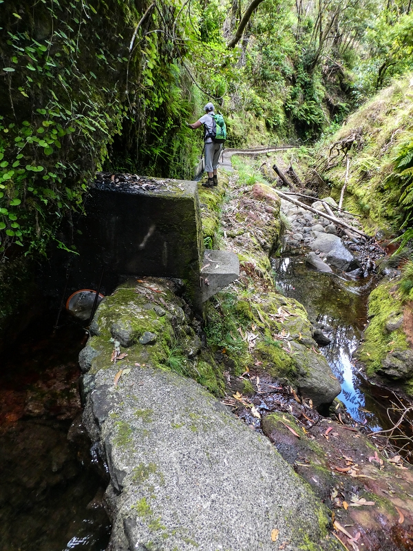 9 May 2019 Walk along the varied Levada Velha das Canhas — Madre in the Ribeira do Caldeirao — photo 6
