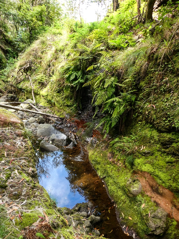 9 May 2019 Walk along the varied Levada Velha das Canhas — Madre in the Ribeira do Caldeirao — photo 8