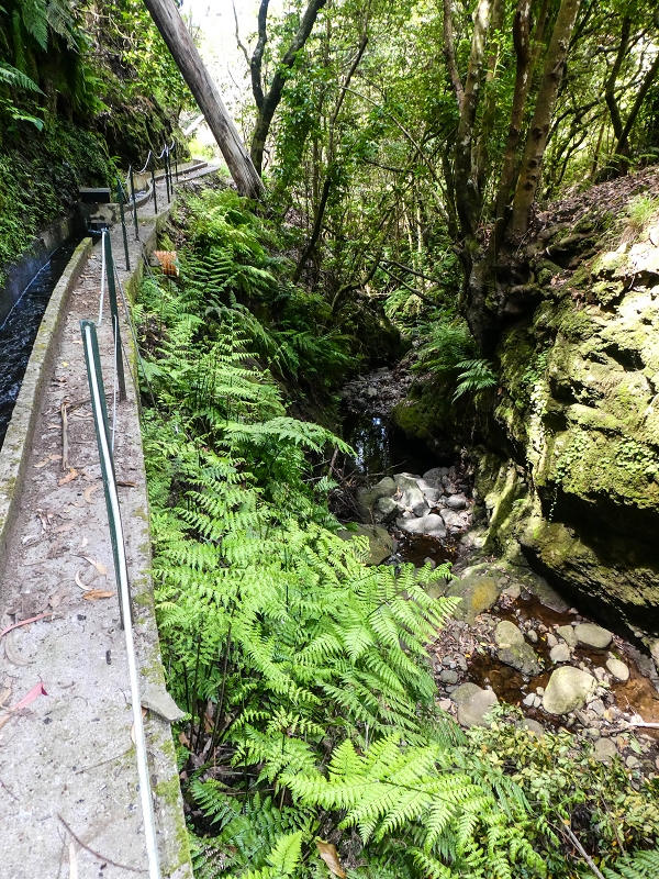 9 May 2019 Walk along the varied Levada Velha das Canhas — Back the same way — photo 1