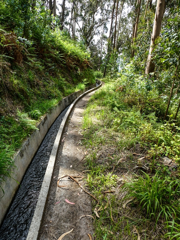 9 May 2019 Walk along the varied Levada Velha das Canhas — Back the same way — photo 3