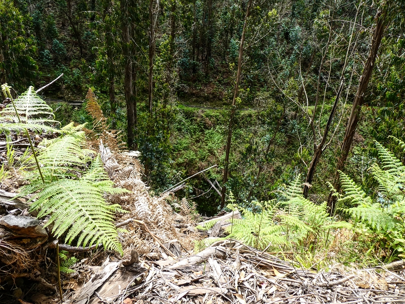 9 May 2019 Walk along the varied Levada Velha das Canhas — Back the same way — photo 7