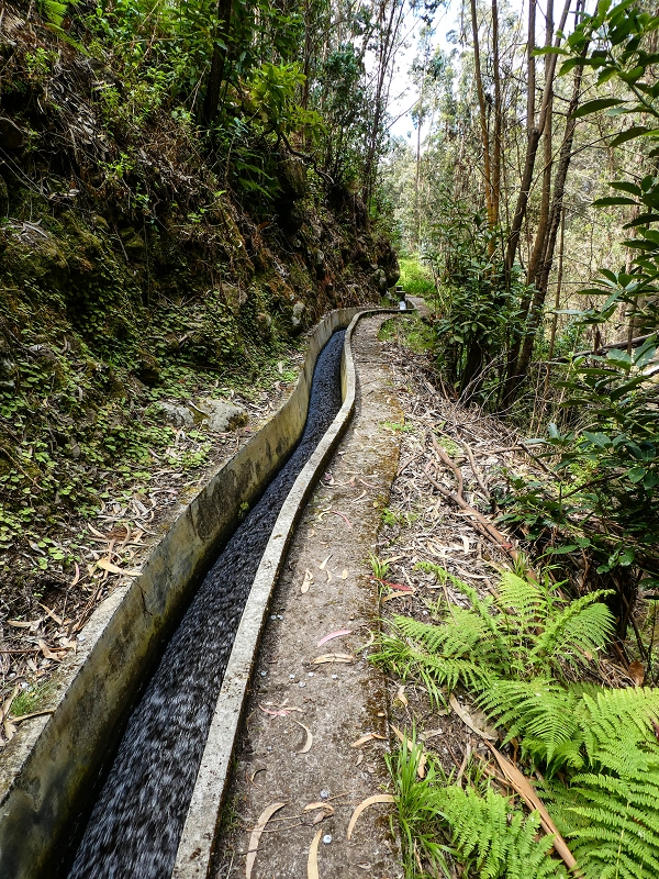 9 May 2019 Walk along the varied Levada Velha das Canhas — Back the same way — photo 8